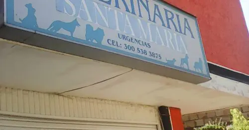 VETERINARIA SANTA MARIA VETERINARIA SANTA MARIA